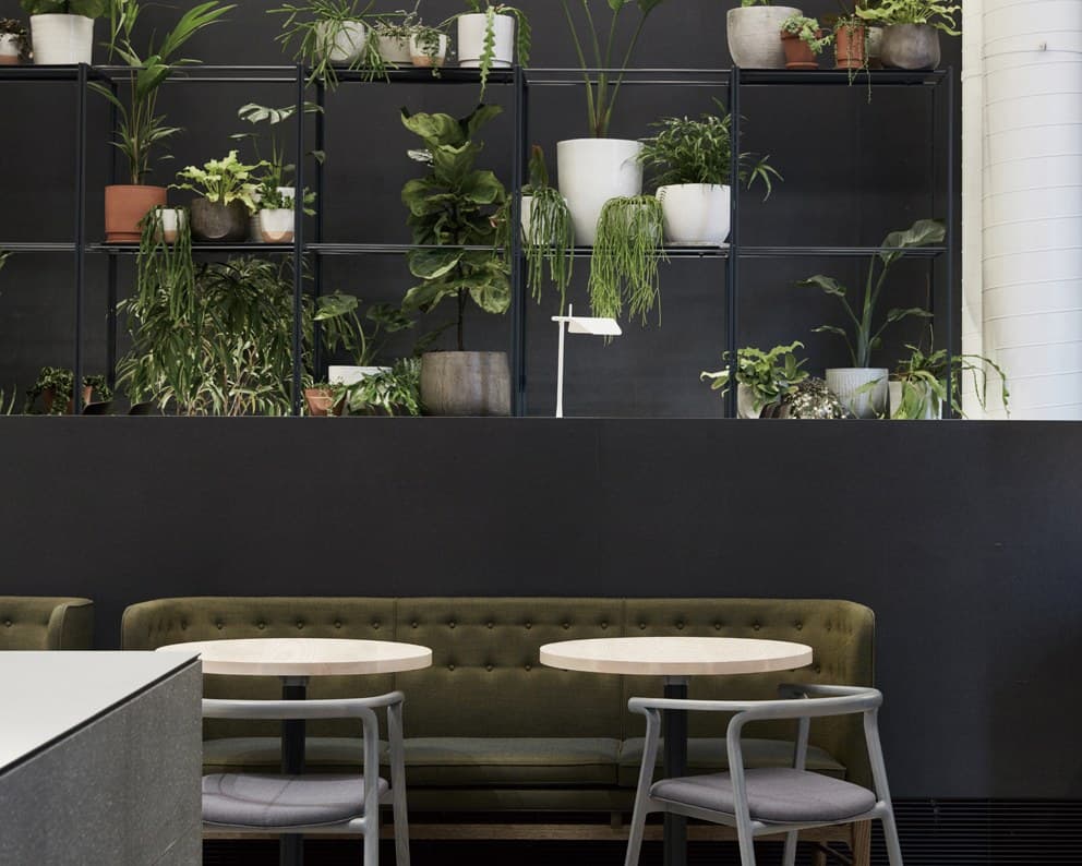 Higher Ground — image 1, Conde House