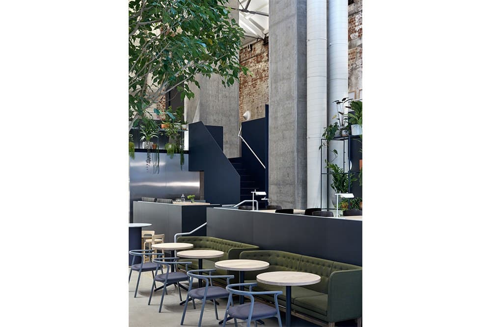 Higher Ground — image 2, Conde House