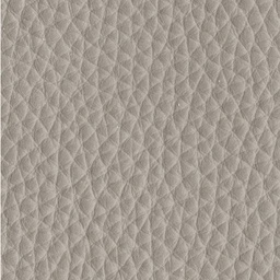 Pacini & Cappellini L34 - BIRD/Leather