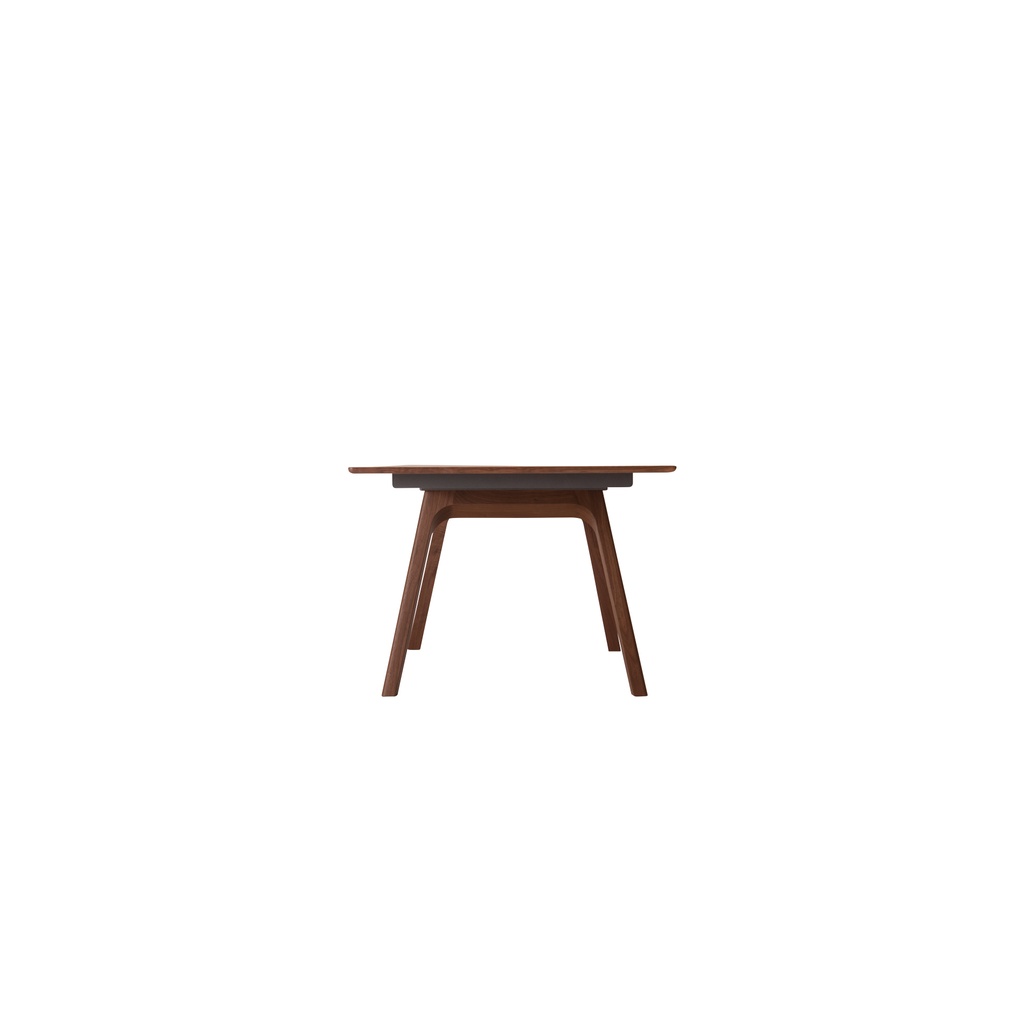 Ten EX Solid Wood Table - 7