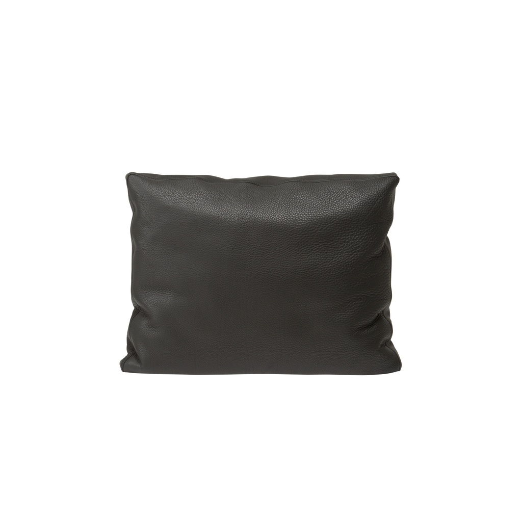 Wing Lux Cushion - 2
