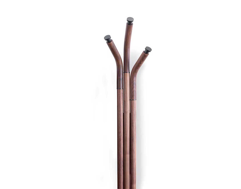 PACINI-WEB:5512:03:5bf40b83c7b4