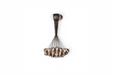 Eclisse Lamp